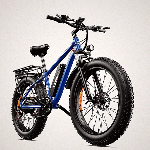 Electric Bike 1000W Electric Bicycle 48V 15AH 26" Fat Tire Mountain e bike Adult